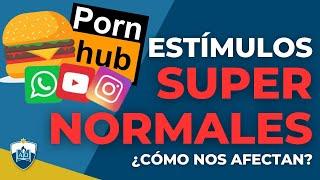 ¿Qué son los ESTÍMULOS SUPERNORMALES?