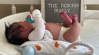 Reborn Family adopts a baby  Silicone Reborn  comes to life during Box Opening