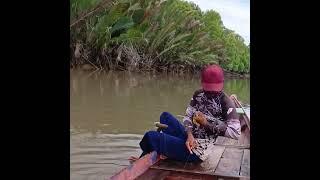 mancing handline baramundi di pesisir sungai