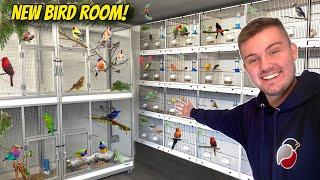 My AMAZING *NEW* Bird Breeding Room