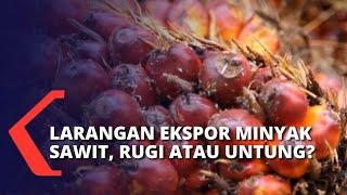 Pemerintah Buat Kebijakan Larangan Ekspor Minyak Sawit Akankah Efektif Atasi Kelangkaan?