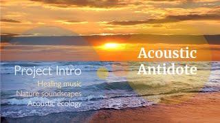 Acoustic Antidote - healing music and nature soundscape wellness service introduction