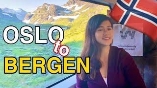 WORLDS BEST TRAIN RIDE Oslo to Bergen Norway First Class Private Room  FATRINA RAINE