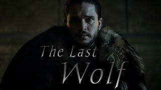 GoT Jon Snow  The Last Wolf