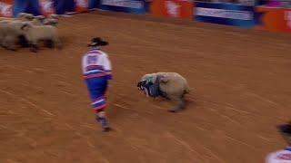 RODEOHOUSTON Mutton Bustin  2.28.2023