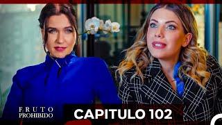 Fruto Prohibido Capitulo 102 Doblado en Español