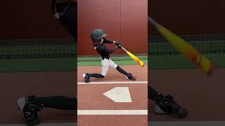 D-bat batting cage routine #baseball #baseballlove #baseballbatting #basebroz #giannimolfese