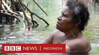 Surga kecil yang dirusak manusia’ Hutan Perempuan di Papua - BBC News Indonesia