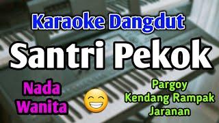 SANTRI PEKOK - KARAOKE  NADA WANITA CEWEK  Versi Koplo  Pargoy  Live Keyboard