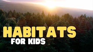 Habitats for Kids  Learn all about deserts forests grasslands mountains and more