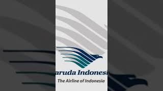 jedak jeduk pesawat Lion air pesawat Garuda Indonesia pesawat Adam air pesawat Wings air