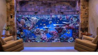 Massive Custom Home Aquarium - 3000g Saltwater - Large Fish Tank Build