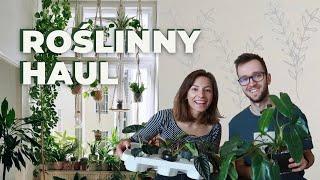 ROŚLINNY HAUL  co kupiliśmy na wyprzedaży w Hands of Plants 