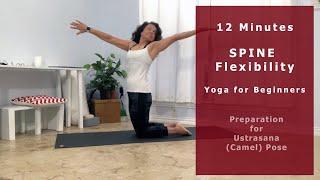 Easy Yoga for Spine Flexibility  preparation for Camel Ustrasana pose. Beginners Yoga by Mitra