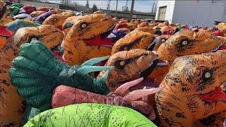 Largest Dino Gathering EVER World Guinness Record Attempt in Drumheller AB