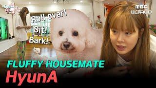 SUB HyunA and the master of tricks genius dog Sogeums peaceful day #HYUNA