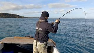 Sea Fishing UK - I LOVE this fishing - Sea Fishing in Cornwall  The Fish Locker