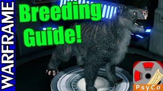 Warframe Kubrow Breeding Guide 1080HD