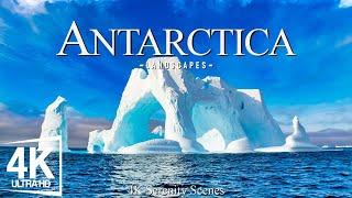 Antartica 4K - Journey Through Majestic Icebergs and Pristine Wilderness  Calming Music