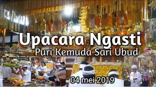 Rangkaian Upacara Ngasti di Puri Kemuda Sari Ubud #ubudinsider