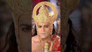 कोई साधारण वानर नहींअवश्य कोई देवता है  #shorts #viral #reels #trending #bhakti #hanuman #feed