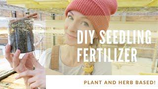 DIY plant based fertilizer for seedlings fights algae and fungus encourages growth