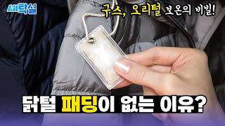 패딩 충전재  구스 오리털 쓸 수 밖에 없는 이유? 패딩 보온 좌우하는 진짜 비밀