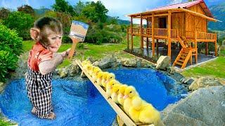 How sweet Monkey MiMi helps her mother build a swimming pool for her ducklings