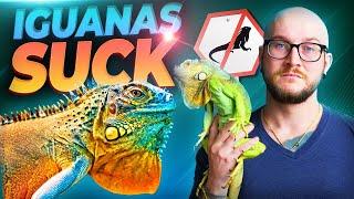 Green Iguanas SUCK 3 Reasons Why YOU Should Never Get One