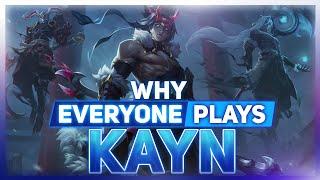 Why EVERYONE Plays Kayn  League of Legends