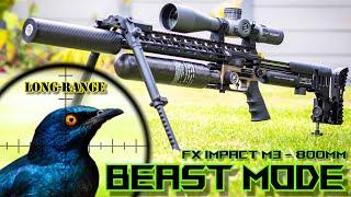 Long-Range & Short-Range Airgun Hunting  FX Impact M3 800mm  FX Wildcat BT Compact  Pest Control
