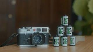 shooting film  advice for people new to film