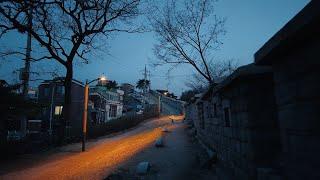 Seoul Walk in The Fortress Wall of Seoul Naksan Park Trail 4K ASMR  Relax City Ambience Sounds