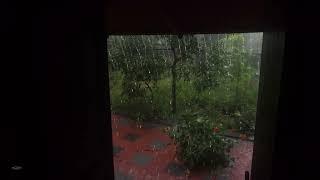 Relaxing Heavy Rain and Thunder Sounds for Sleeping  Help Study Meditation PTSD Insomnia