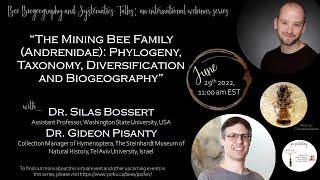 The Mining Bee Family Andrenidae Phylogeny Taxonomy Diversification and Biogeography