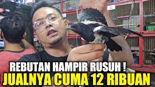 GEGERKAN SATU PASAR KIOS ALHAMDULILLAH BONGKAR RATUSAN EKOR BURUNG JUALNYA CUMA MULAI 12 RIBUAN