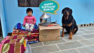 best dog YouTube channel in India  Rottweiler dog videos 