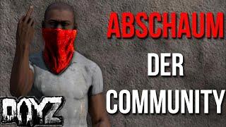 DayZ - LÄCHERLICHSTE GRUPPE - Deutsch German Gameplay│Coday