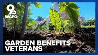 VA Medical Center program helps veterans get their hands dirty in the garden