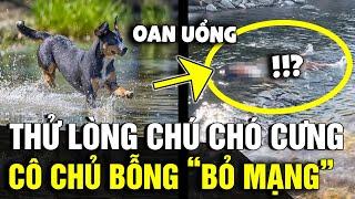 Nhảy xuống sông ĐỂ THỬ LÒNG chó cưng cô chủ BỎ MẠNG một cách đầy oan uổng  Tin Nhanh 3 Phút