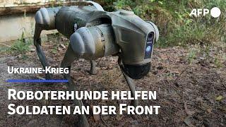 Ukraine Roboterhunde helfen Soldaten an der Front  AFP