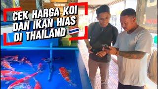 Pasar Ikan Hias Terbesar Di Thailand  Chatuchak Largest Fish Market In Bangkok Thailand