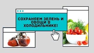 Как правильно хранить свежие помидоры и огурцы. Так они не сгниют