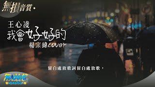 王心凌《我會好好的》cover楊宗緯 妳喜歡男聲版還是女聲版？【動態歌詞Lyrics Music】