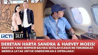 BEGITU MEWAH Inilah Deretan Harta Sandra Dewi & Harvey Moeis  SILET