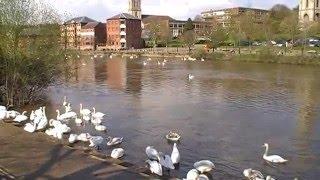 Worcester river walk with Mum 024