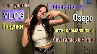 СХОДИЛИ НА ОЗЕРО VLOG МАНИКЮР БЕТТИ ПОВРЕДИЛА ЛАПУ