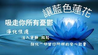 【能量淨化：讓藍色蓮花吸走你所有憂鬱】Energy Cleansing Let the Blue Lotus Absorb All Your Worries