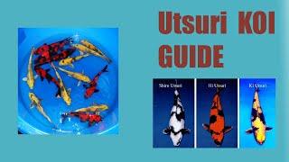 Utsuri  Koi variety Guide