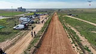 Carrera de galgos Villasequilla 2024